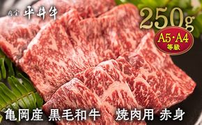 数々の誉れに輝く最高峰 黒毛和牛「平井牛」A5・A4 焼肉用 赤身 250g 京都 丹波牧場 自家産≪ウチヒラ・マル・イチボ・ランプ・ウチモモ・シンタマ 希少 和牛 京都肉 冷凍 真空 BBQ キャンプ≫