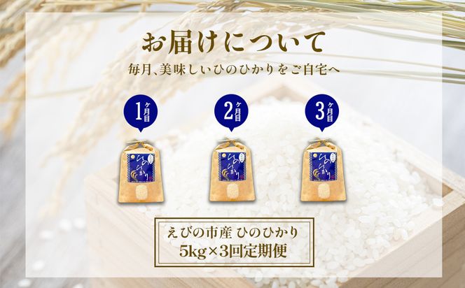 【令和7年産】【3回定期便】米 ひのひかり 5kg 合計 15kg 九州 霧島 えびの産 ヒノヒカリ 発送直前に精米 農家 直送 お米 おこめ こめ コメ 白米 ふるさと納税 5キロ 九州産 宮崎県産 宮崎県 送料無料