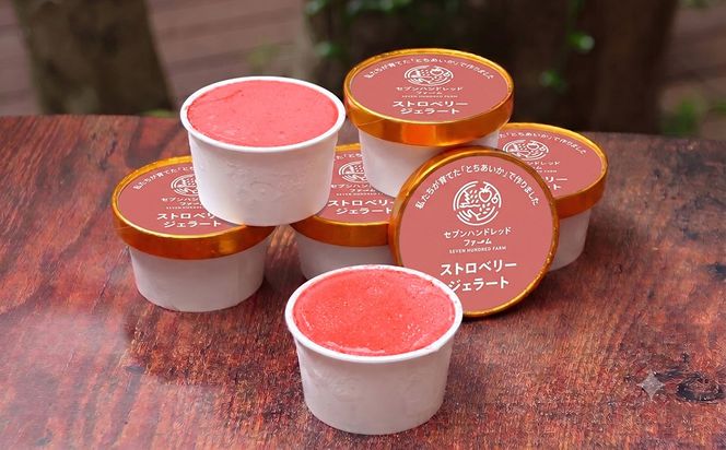 【とちあいか70％使用】栃木県さくら市産「さくらベリー」の濃厚いちごジェラート 90ml×4個