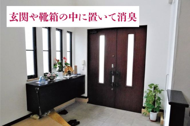 行方の竹で作りました。竹炭100g+50g（各竹筒入り）(CP-8)
