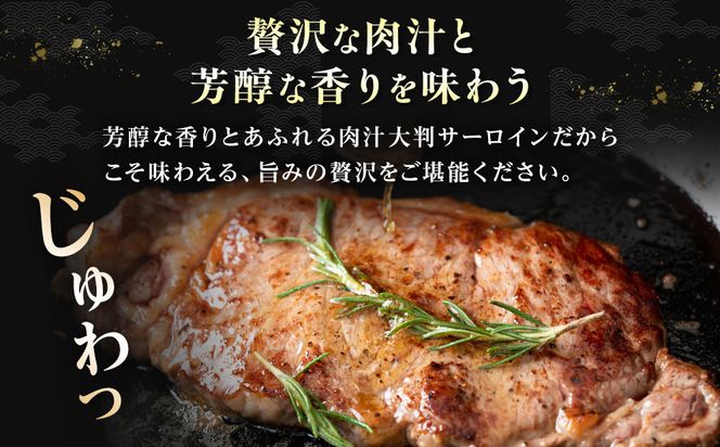【Aランク＆B 5ランク】仙台牛ステーキ 600g（約300g×2枚）～圧巻のボリュームと至高の肉汁～【特産品 宮城県産  仙台牛 国産牛 サーロイン  ステーキ 霜降り  厳選 ごちそう 記念日 ギフト お歳暮 お中元 定番 安心安全 品質保証 リピート ランキング】 041009_JE004