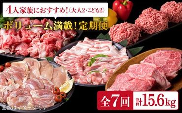 家族 で たっぷり! ボリューム 満載 定期便全7回 (月1回) 4人用 [福岡 糸島産 牛肉 豚肉 鶏肉 切り落とし ミンチ ハンバーグ 餃子] [糸島] [糸島ミートデリ工房] 