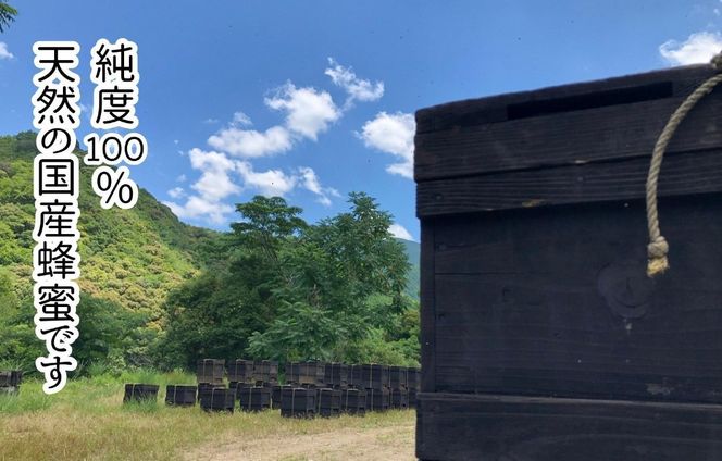 【母の日ギフト】有田のはちみつセット（みかん蜂蜜210g 百花蜂蜜210g 各1本）和歌山県産 産地直送【みかんの会】 AX347