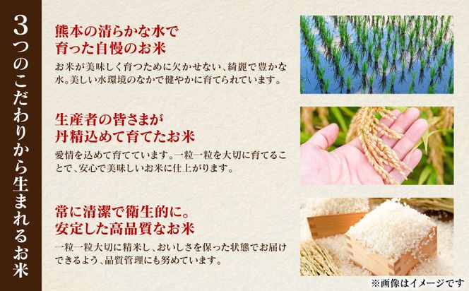 《令和7年産》 森のくまさん 5kg×1袋 米 お米 精米 白米 ごはん ご飯 おにぎり お弁当 熊本県 八代市