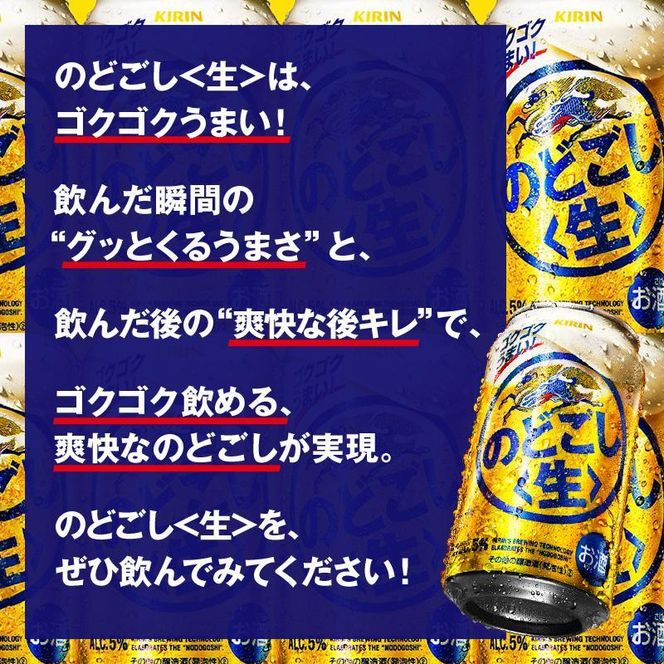 【3ヵ月定期便】キリン のどごし〈生〉500ml×24本　【 お酒 アルコール アルコール飲料 晩酌 家飲み 宅飲み 飲み会 集まり バーベキュー BBQ イベント 飲み物 缶ビール 】 ● 041009_EL283