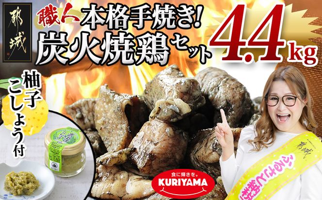 �y�{�茧�s��s�z�{�i��Ă�!�Y�ΏČ{4.4kg(�䂸�����傤�t)_AC-1411