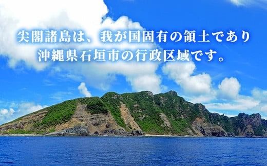 【返礼品なし】石垣市の宝「尖閣諸島」資料収集及び情報発信等事業 の為の寄附(1000円)