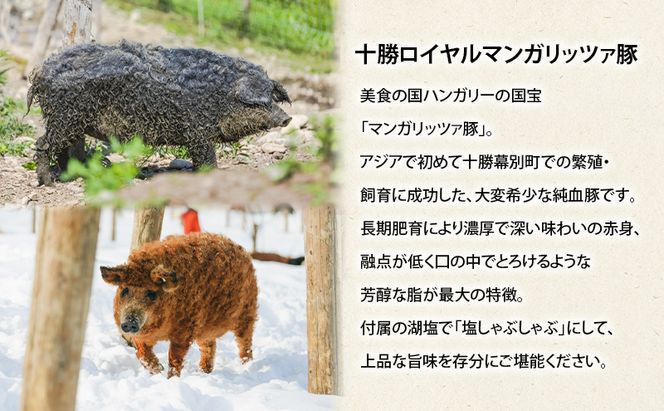 北海道 十勝 幕別のブランド放牧豚 食べ比べ定期便 [しゃぶしゃぶ/全3回] どろぶた・マンガリッツァ豚・遊ぶた【 豚 豚肉 ブランド 放牧 しゃぶしゃぶ 薄切り スライス ロース バラ 冷凍  詰合せ 幕別 】