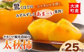 熊本県大津町産 タカハマ観光農園の太秋柿 約2.5kg《10月上旬-11月下旬頃出荷》---oz_thm_3_2500g---