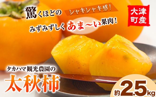 熊本県大津町産 タカハマ観光農園の太秋柿 約2.5kg《10月上旬-11月下旬頃出荷》---oz_thm_3_2500g---