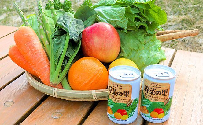 ふらの 野菜の里 160g×30本入　野菜 果物 ミックスジュース (ジュース 野菜ジュース 飲み物 缶 北海道 送料無料 道産 富良野市 ふらの)
