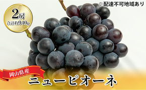 ぶどう 2026年 先行予約 ニュー ピオーネ 2房（合計約940g）化粧箱入り ブドウ 葡萄 岡山県産 国産 フルーツ 果物 ギフト [№5735-1447]