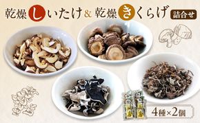 有機JAS 乾燥 しいたけ ・ 乾燥 きくらげ 4種各2個 詰合せ オーガニック 野菜 きのこ 岡山県 玉野市 栽培期間中化学肥料不使用 栽培期間中農薬不使用 