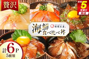 海鮮丼 漬丼 全5種 6食 セット [請関水産 宮崎県 日向市 452061674] ブリ マダイ マグロ サーモン カツオ 海鮮丼の具 海鮮丼セット 食べ比べ 冷凍 漬け丼 簡単 個包装 時短 お茶碗盛り