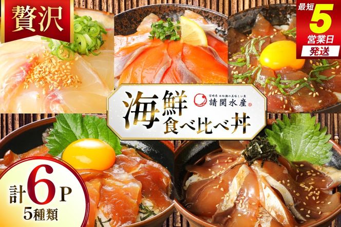 海鮮丼 漬丼 全5種 6食 セット [請関水産 宮崎県 日向市 452061674] ブリ マダイ マグロ サーモン カツオ 海鮮丼の具 海鮮丼セット 食べ比べ 冷凍 漬け丼 簡単 個包装 時短 お茶碗盛り