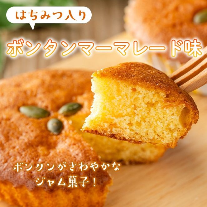 isa413 ＜数量限定＞ジャム菓子2種(ボンタン味8個、かぼちゃ味8個・計16個) 詰め合わせ 洋菓子 菓子 焼き菓子 ジャム ギフト 【薩摩美食倶楽部】