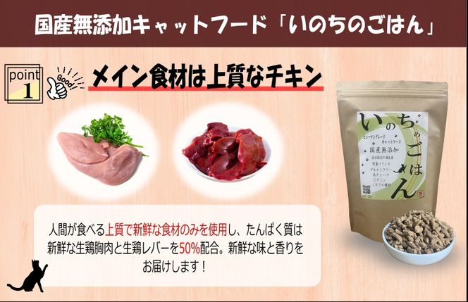 099Z637 【定期便】国産無添加 キャットフード 500g×全3回 「いのちのごはん」タンパク質 50％配合タイプ【猫 ねこ ペットフード チキン 手作り ヒューマングレード 国産】