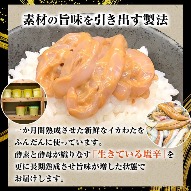 塩辛 エコパック 昭和の塩辛 80g×5袋 セット 珍味 無添加 海産物 海鮮 魚介類 魚介 いか イカ いか塩辛 詰め合わせ ご飯のお供 おつまみ おつまみセット 加工食品 惣菜 冷凍 ※ご入金確認後 3ヶ月以内の発送になります。 青森県鰺ヶ沢町 