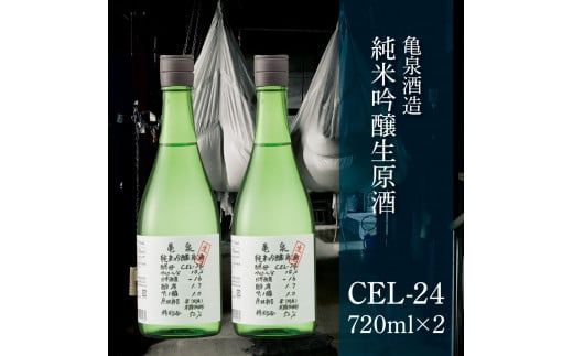 土佐の魚とお酒のおきゃくセット A（生鰹タタキコース）生かつおの藁焼きタタキ（タレ・薬味付き）500～700g 3～5人前 わら焼き 純米吟醸生原酒 CEL-24 高知県 土佐市【さかなの森澤マル祐】[BQAM020]