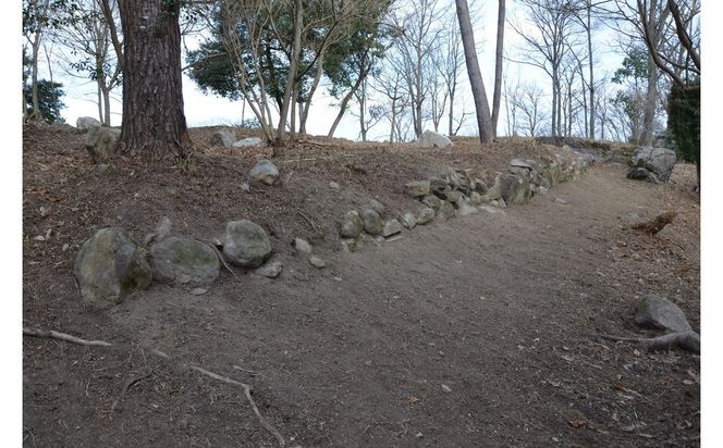 文化財専門員と行く！勝賀城ガイド見学ツアー 372013_KY007