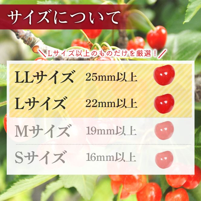 FYN6-609 ≪2027年先行予約≫山形県産 品種おまかせ さくらんぼ(佐藤錦・紅秀峰など) 400g 秀品 L以上 バラパック詰め 2027年6月中旬から順次発送 果物 くだもの フルーツ サクランボ チェリー 贈答 贈り物 ギフト プレゼント 自宅 家庭 産地直送 山形県 西川町 月山