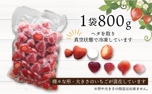 急速冷凍！人気のあまおう 冷凍いちご　福岡県特産品　大容量 1.6kg【JAほたるの里】_HA1513