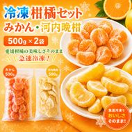 冷凍柑橘セット みかん・河内晩柑 500g ×2袋 冷凍みかん みかん ミカン 愛媛みかん 蜜柑 柑橘 かんきつ 冷凍ミカン 冷凍柑橘 アイス スムージー シャーベット みかん職人武田屋 愛媛県 愛南町