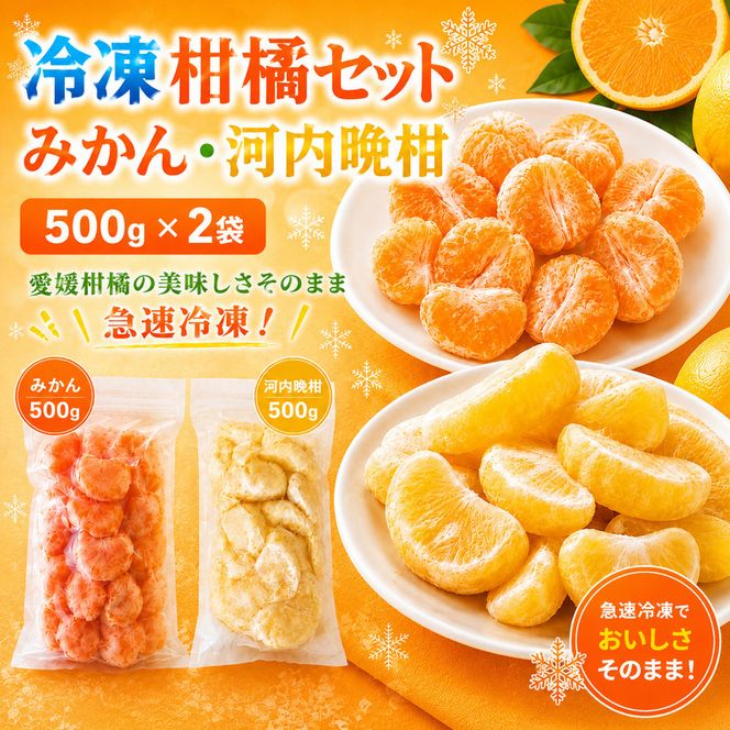 冷凍柑橘セット みかん・河内晩柑 500g ×2袋 冷凍みかん みかん ミカン 愛媛みかん 蜜柑 柑橘 かんきつ 冷凍ミカン 冷凍柑橘 アイス スムージー シャーベット みかん職人武田屋 愛媛県 愛南町