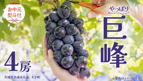 【 お中元 熨斗付き】 巨峰 ４房 【2026年8月上旬発送開始】(茨城県共通返礼品：大子町) ぶどう 葡萄 ブドウ フルーツ 果物 スイーツ ギフト 贈答用 贈り物 プレゼント