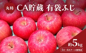 【平均糖度12度以上】5月～6月 クール便発送 丸特 CA貯蔵 有袋ふじ 約 5kg アイスBOXクール便 りんご リンゴ 林檎 果物 フルーツ 青森