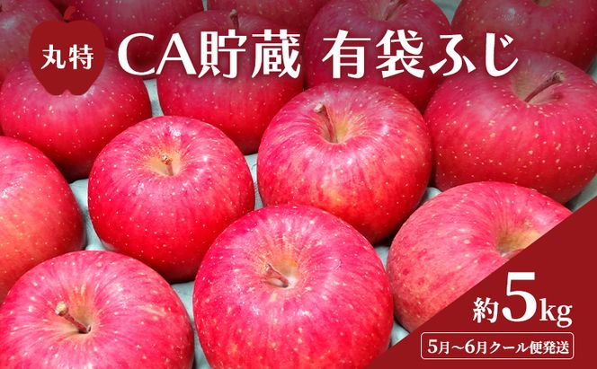【平均糖度13度以上】5月～6月 クール便発送 丸特 CA貯蔵 有袋ふじ 約 5kg アイスBOXクール便 りんご リンゴ 林檎 果物 フルーツ 青森