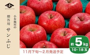 サンふじ 贈答用 約5kg 10～18玉 ［小布施屋］ りんご 林檎 リンゴ 果物 フルーツ 令和7年産【2025年11月下旬～2026年2月発送】［A-209］