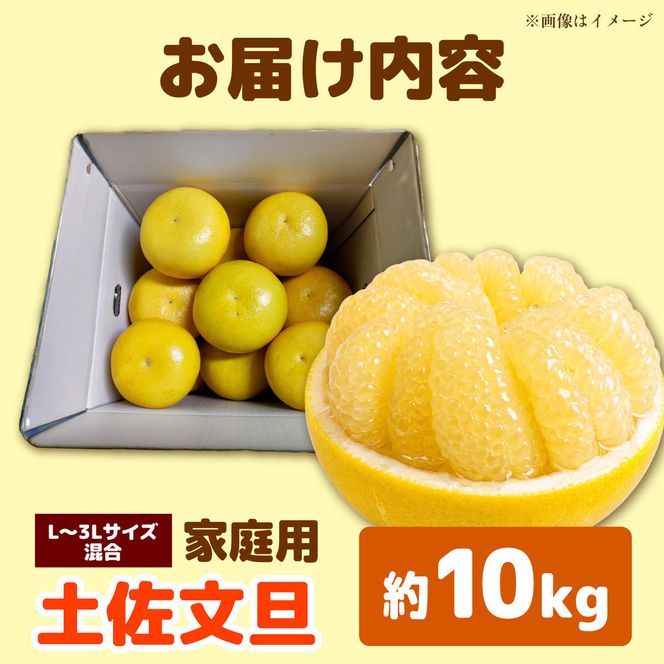 【先行予約】土佐文旦 家庭用 約10kg （L～3Lサイズ混合：17～24玉入り） 文旦 ぶんたん ブンタン 柑橘 フルーツ デザート 果物 ご当地 人気 名産＜2027年1月中旬～順次発送＞【玉木農園】