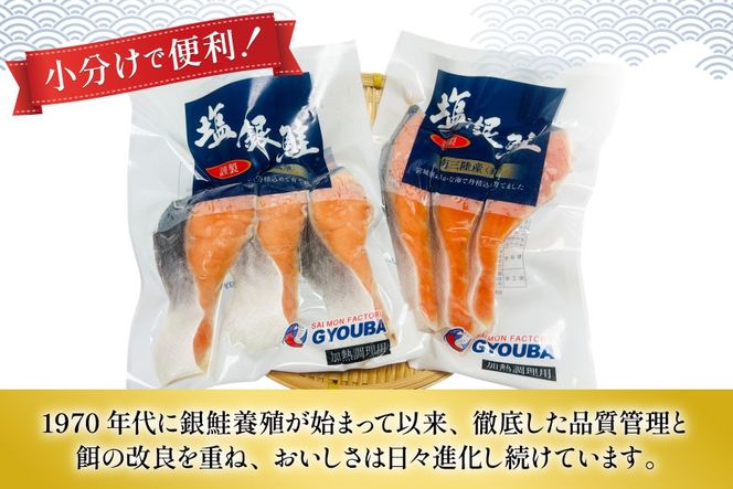 鮭 切身 塩銀鮭パック 3切×2袋 計6切 [たみこの海パック 宮城県 南三陸町 m304amh560067] サーモン 銀鮭 塩銀鮭 シャケ 切り身 さけ サケ 国産 小分け 個包装 冷凍
