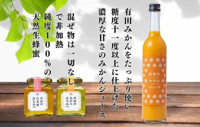 みかんジュース (500ml×2本) と はちみつ ( みかん蜂蜜・百花蜂蜜 各210g) セット 和歌山県産 産地直送 【みかんの会】 AX276