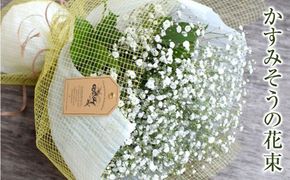 かすみそうの花束 かすみ草 カスミソウ 花束(小さいサイズ) 花 誕生日 成人式 卒業祝い 初節句 ひな祭り バレンタイン お返し 結婚 ウエディング 送別 祝い プレゼント ギフト 結婚祝い お礼 花束 生花 ドライフラワーにも 送料無料 退職祝い お母さん 記念日 272230_BG111