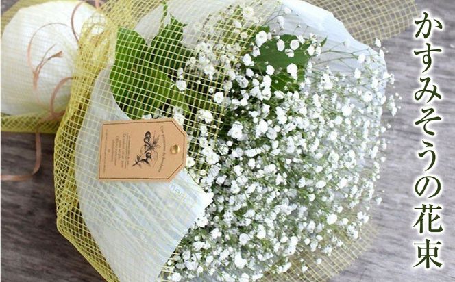 かすみそうの花束 かすみ草 カスミソウ 花束(小さいサイズ) 花 誕生日 成人式 卒業祝い 初節句 ひな祭り バレンタイン お返し 結婚 ウエディング 送別 祝い プレゼント ギフト 結婚祝い お礼 花束 生花 ドライフラワーにも 送料無料 退職祝い お母さん 記念日 272230_BG111