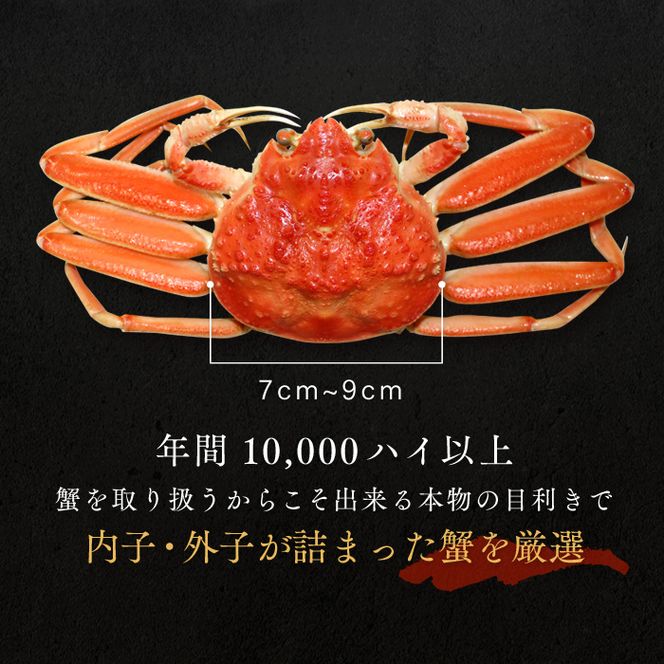 せいこがに メス 5杯 茹で ズワイガニ かに かにみそ ボイルカニ ボイル 魚介類 冷蔵