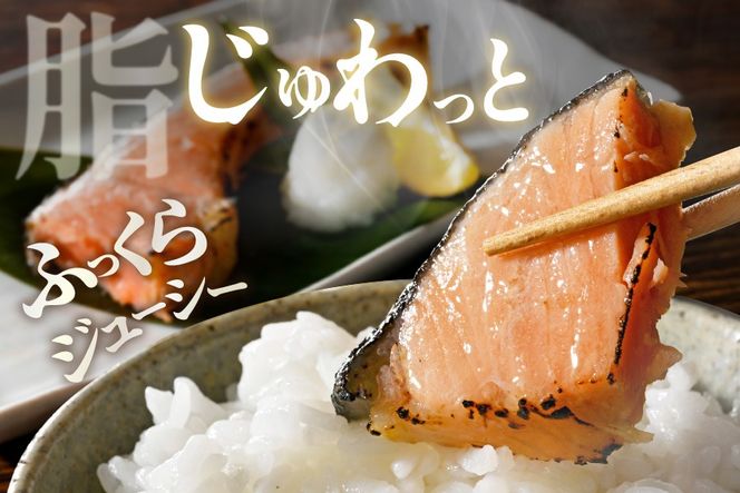 塩銀鮭切身 1.5kg 【MT000TZ00】