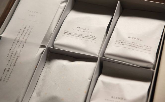 コーヒー セット レギュラーコーヒー 300g (挽いた粉) ドリップバッグコーヒー 15個 珈琲 ドリップ 珈琲山口 