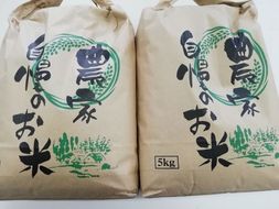 日本晴れ　10kg（5kg×2）