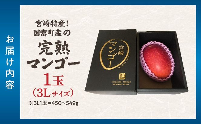 宮崎特産！国富町産の完熟マンゴー 1玉（3L）