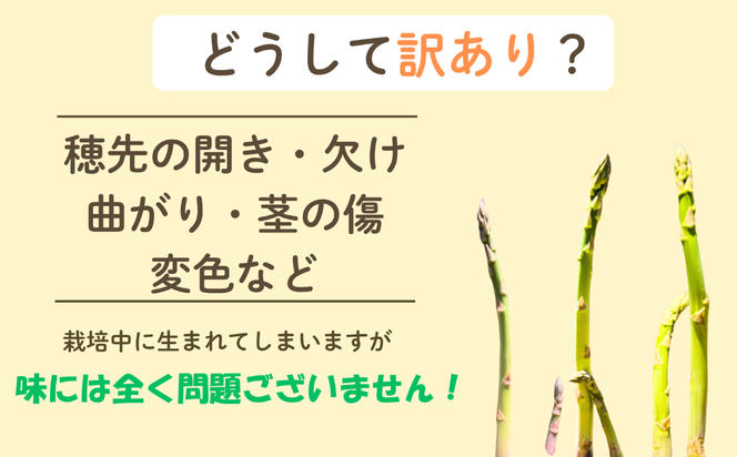 【令和9年産先行予約】＼訳あり／アスパラガス みゆきアスペルジュ サイズ混合 1kg入り(22〜30本)《出荷時期：2027年5月中旬頃〜》株式会社ForestDoor  (Ce-010)