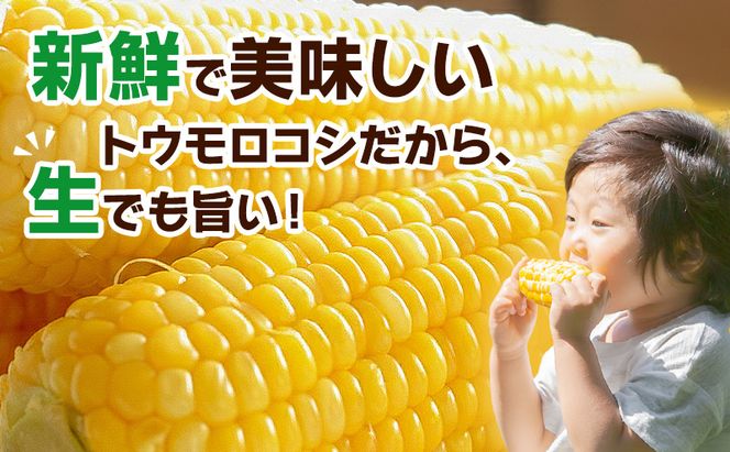 とうもろこし 味来 贈答用 20本 トウモロコシ 宮城県産 甘い 夏 朝採れ 産地直送 宮城県 大河原町