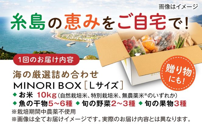 【全4回定期便】糸島産 魚 米 野菜 果物 厳選詰め合わせ MINORI BOX Lサイズ【季節ごとに年4回お届け】　糸島市 / emma.Inc / 米 魚 野菜 果物 詰め合わせ[AOP006] 米 こめ 魚 さかな 野菜 やさい 果物 くだもの 糸島 詰め合わせ MINOR