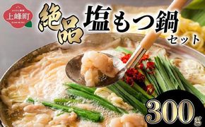 ＜最短10営業日以内発送＞2～3人前 絶品塩もつ鍋セット（300g）