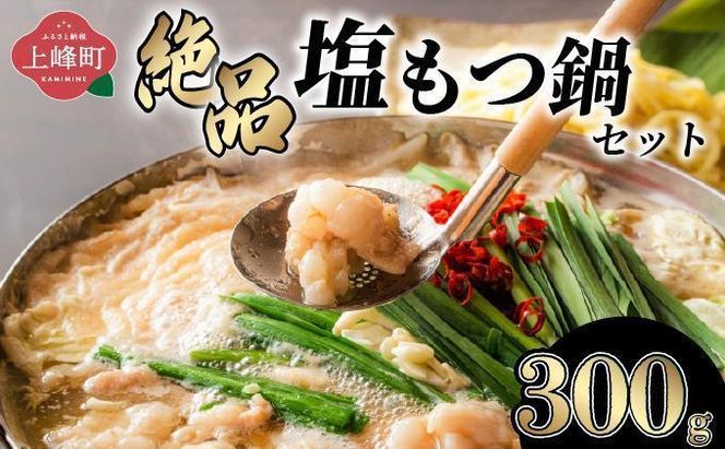＜最短10営業日以内発送＞2～3人前 絶品塩もつ鍋セット（300g）
