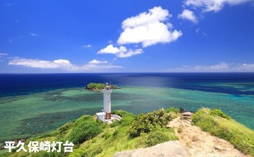 【石垣市】しろくまツアーで利用可能なWEB旅行クーポン (15,000円分)【 沖縄県 石垣市 石垣島 ツアー 紙券 クーポン 旅行券 クーポン券 旅行 宿泊 観光 旅 】WB-5