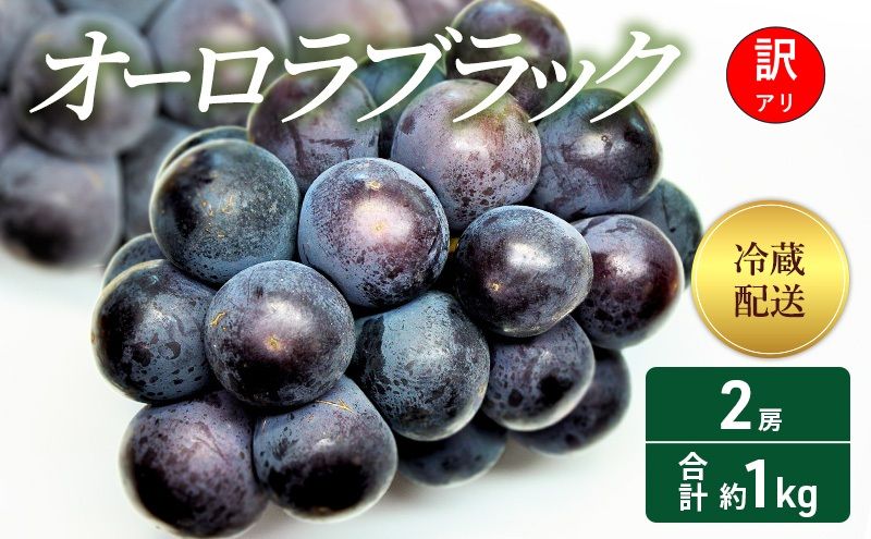 訳あり ぶどう オーロラブラック 2房 合計約1kg 岡山県 高梁市産 2026年 先行予約 冷蔵 フルーツ 葡萄 ブドウ 産地直送 大粒 爽やか 食べやすい
