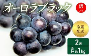 【2026年 先行予約】【訳あり品】 オーロラブラック2房 合計約1kg 冷蔵配送 ぶどう 葡萄 フルーツ 果物 岡山 岡山のぶどう 食後 デザート 産地直送 大粒 爽やか 食べやすい 